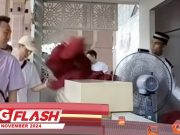 Pelancong China Biadab #MGFlash