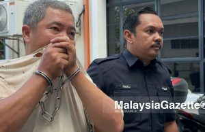 Penghantar ayam didakwa miliki dua pucuk pistol, peluru tanpa lesen
