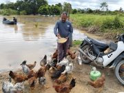 Naik sampan lapan jam selamatkan 500 ayam ternakan daripada banjir