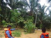 Jumlah mangsa banjir Johor berkurangan kepada 528
