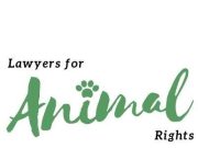 Lawyers for Animal Rights gesa ambil tindakan ke atas pelaku pukul anjing