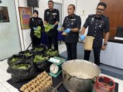 Penjual buah tak serik jual air ketum ditahan kali ketujuh