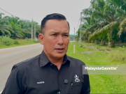 Felda diseru pastikan penternak daftar haiwan ternakan dengan Veterinar