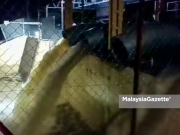 Hujan lebat, JPS aktifkan rumah pam utama di Kuantan