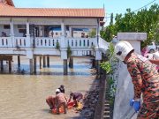 Mayat ditemukan bawah jambatan Sungai Endau
