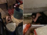 GRO wanita sembunyi dalam tandas elak dikesan JIM