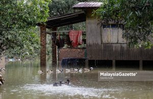 Semua sumbangan banjir perlu disalur kepada NADMA -Nancy