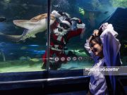 Penyelam ‘Santa Claus’ Aquaria #Krismas