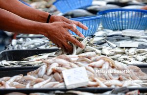 The hidden contaminants we cannot see in our food