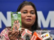 Skim Keselamatan Sosial Suri Rumah terbukti lindungi kebajikan pencarum – Kasthuri