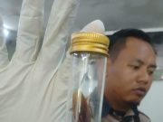 MBPP jumpa lipas, premis makanan ditutup 14 hari