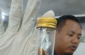 MBPP jumpa lipas, premis makanan ditutup 14 hari