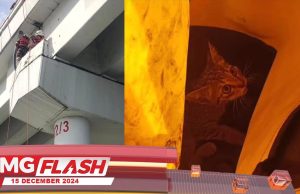 Anak Kucing Terperangkap Di Jambatan Sultan Abdul Halim #MGFlash