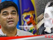 MGNews : Kucing Di UM Dibunuh Mengguna Senjata Tajam Dengan Potongan Sistematik