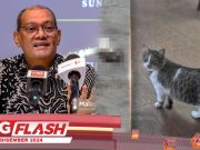Kes Kematian Kucing Di UM #MGFlash