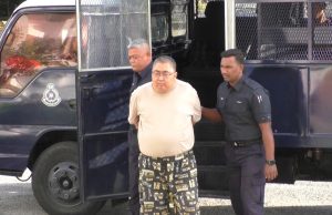 Pemilik premis ikan hiasan didakwa miliki dua pistol termasuk tiruan