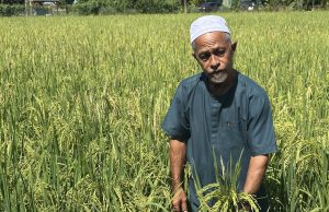 NAFAS diyakini mampu kekal menjadi pembekal baja berkualiti