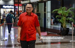 MCA jangan takut bayang-bayang sendiri – Puad