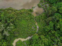 Mini Amazon Kampung Beng Lenggong Perak fishing trip memancing