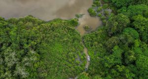 Mini Amazon Kampung Beng Lenggong Perak fishing trip memancing