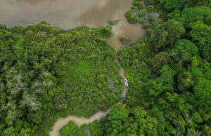 Mini Amazon Kampung Beng Lenggong Perak fishing trip memancing