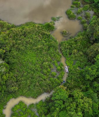 Mini Amazon Kampung Beng Lenggong Perak fishing trip memancing