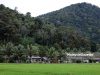 Pemandangan yang indah sekitar Homestay Labu Kubong Kuala Kangsar. Foto ABDULLAH YUSOF, 20 JANUARI 2025.