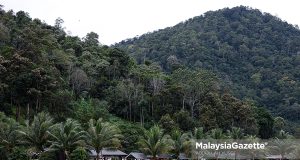 Pemandangan yang indah sekitar Homestay Labu Kubong Kuala Kangsar. Foto ABDULLAH YUSOF, 20 JANUARI 2025.