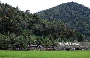 Pemandangan yang indah sekitar Homestay Labu Kubong Kuala Kangsar. Foto ABDULLAH YUSOF, 20 JANUARI 2025.