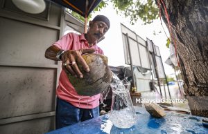 Kelapa segar eksport ke China untuk tujuan minuman sahaja