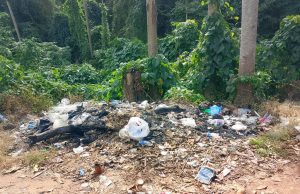 CAP gesa pihak berkuasa tangani isu pembuangan sampah haram