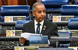 Tribunal Hak Asasi Manusia mungkin dibenar siasat kes NFA seperti Beng Hock