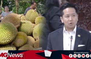 413. 61 Tan Durian Segar Bernilai RM24.84 Juta Dieksport Ke China Tahun Lalu
