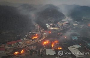 Sekurang-kurangnya 15 terbunuh dalam kebakaran hutan di Korea Selatan
