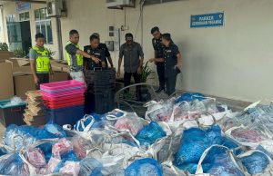 KPDN P.Pinang bongkar sindiket penyelewangan minyak masak