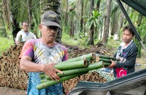 Harga santan naik tetapi harga lemang kekal