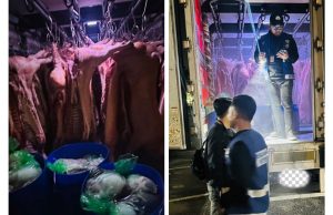 Polis rampas 90 keping karkas babi dari negara jiran bernilai RM375,000