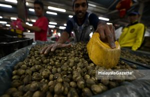 Industri akuakultur bantu tingkatkan ekonomi masyarakat pesisir