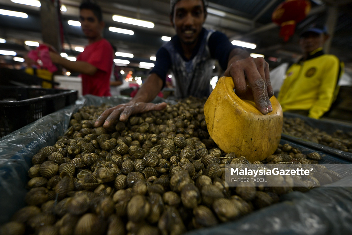 Industri akuakultur bantu tingkatkan ekonomi masyarakat pesisir