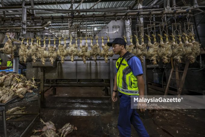 MGF12032025_OPERASI KPDNKL6