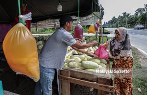 Bantuan one-off RM100 diberi menyeluruh elak kerenah birokrasi – Norafiza