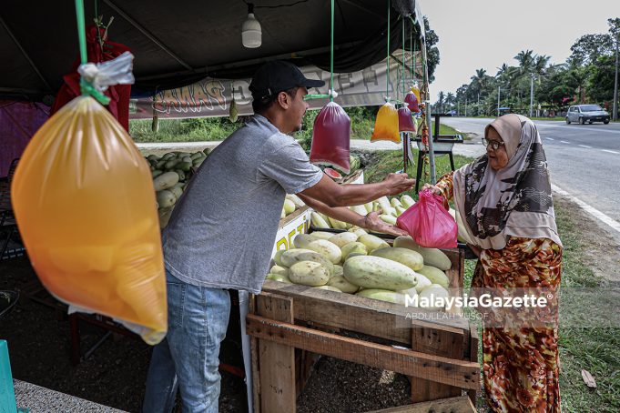 PERNIAGAAN BUAH KABUNG
