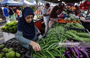 FAMA nafi ambil warga asing sebagai peserta pasar tani