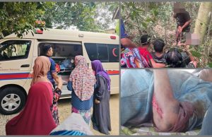 Anggota Perhilitan, wanita warga emas cedera diserang gajah di Kuala Krai