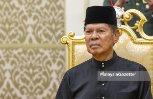 Ramli Ngah Talib dilantik Yang Dipertua Negeri Pulau Pinang baharu