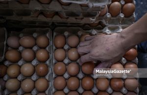 US says 19 million recalled eggs pose deadly risk