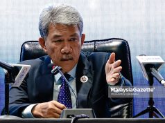Sampel DNA waris rakyat Malaysia hilang di Nepal selesai diperoleh – Mohamad