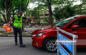 Concerted effort needed to curb fancy number plates
