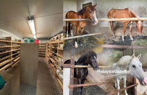 SPRM sita 6 rumah mewah, sebidang tanah nilai RM12 juta milik Tan Sri