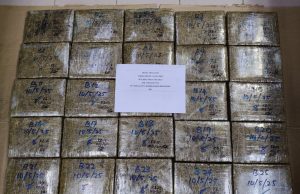 Dua lelaki ditahan bersama 50 ketulan mampat ganja